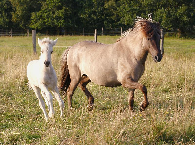 Sola und Bjalla 1.jpg